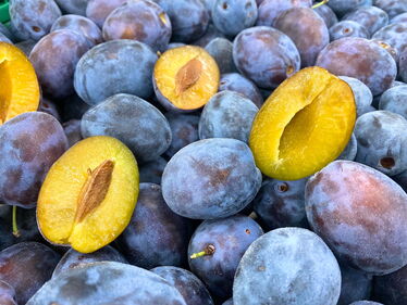 Fellenberg Zwetschgen