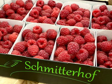 Himbeeren vom Schmitterhof