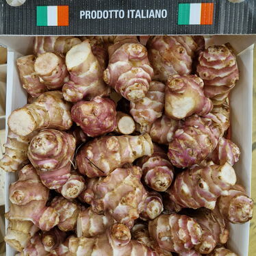 Topinambur aus Italien