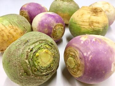 Navets weiss und gelb