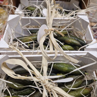 Fingerlimes aus Italien