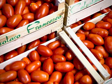 Peretti Sugo Tomaten