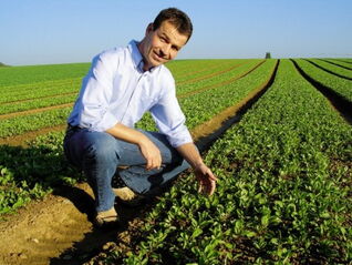 Gerhard Daumüller auf seinem Spinatfeld