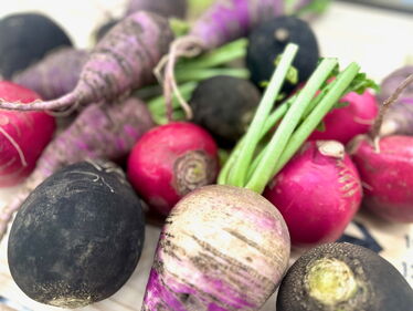farbiger Rettich