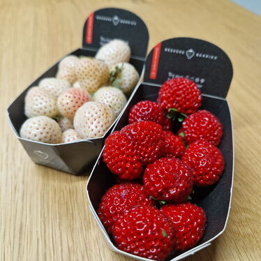 Ananaserdbeeren & Strasberrys