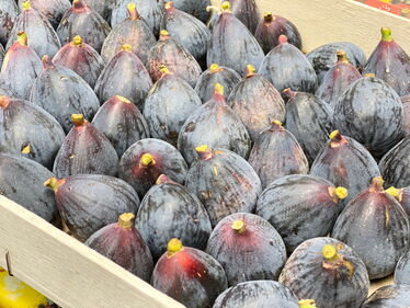 Feigen aus Cavaillon