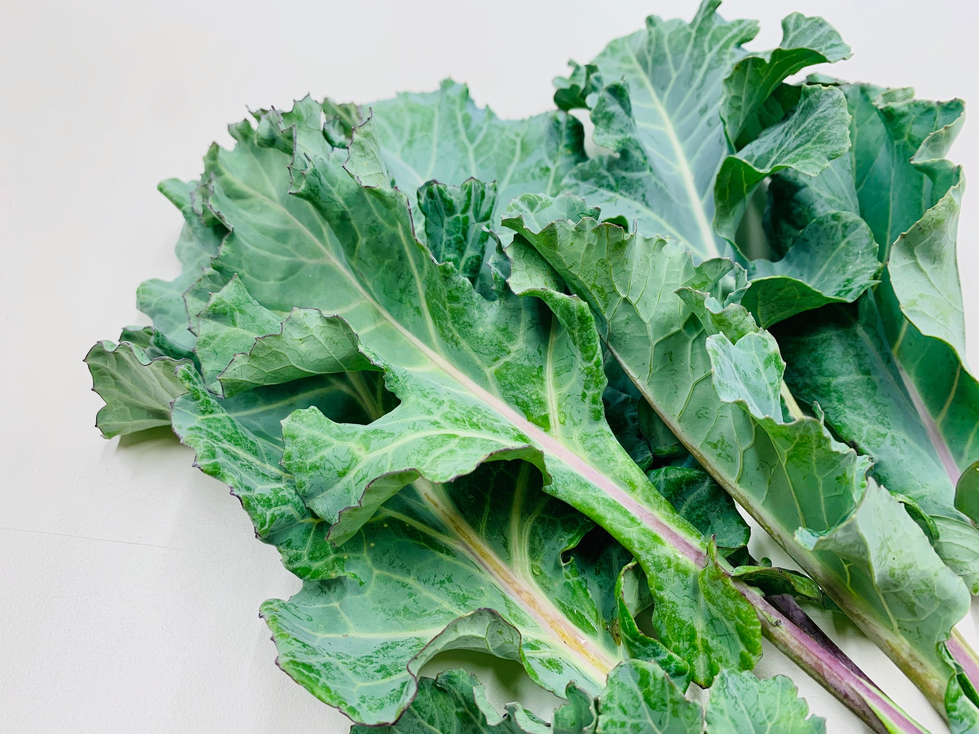 Broccoli Blätter FARM