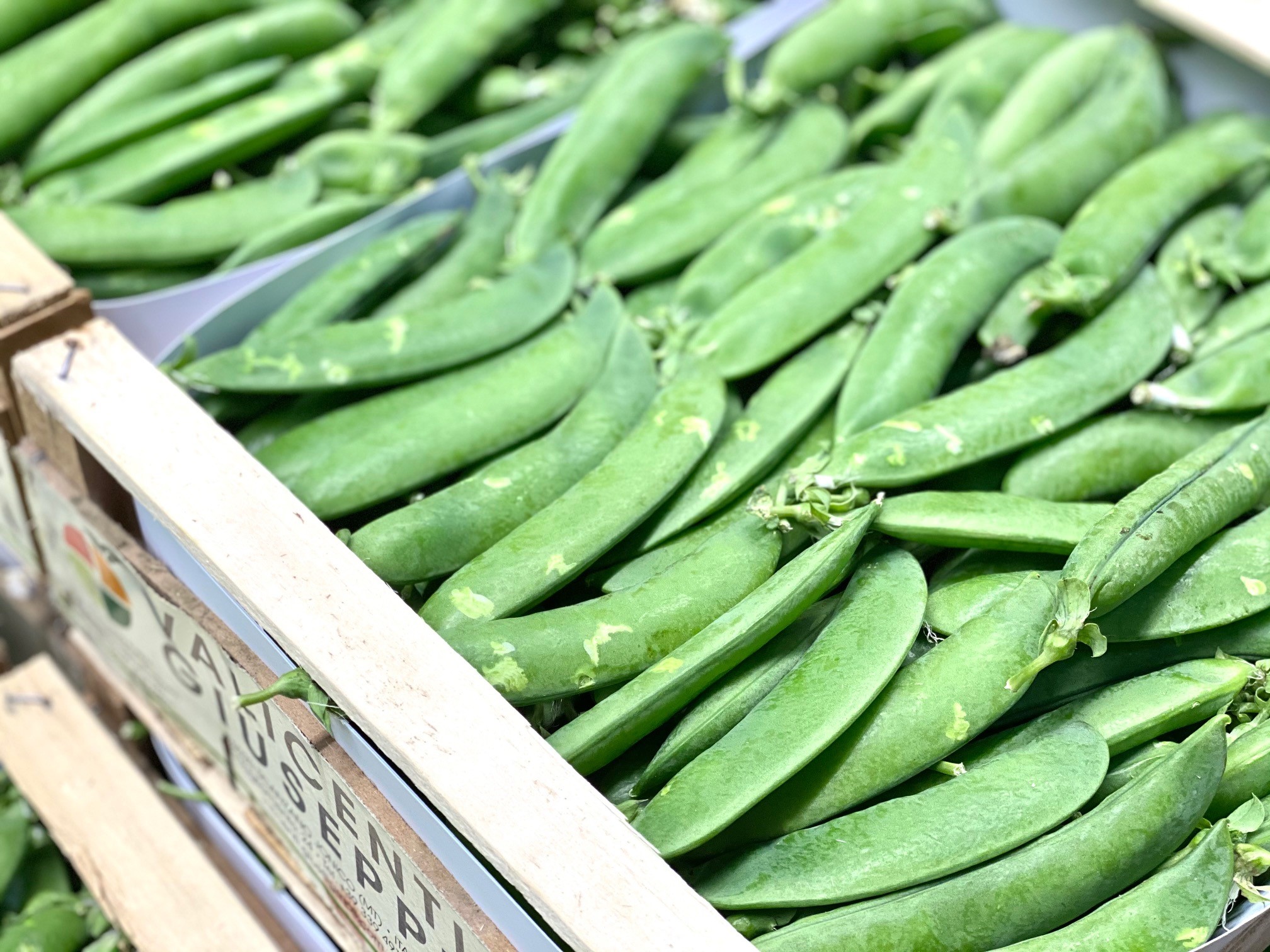 Prall gefüllt - Erbsen aus Italien