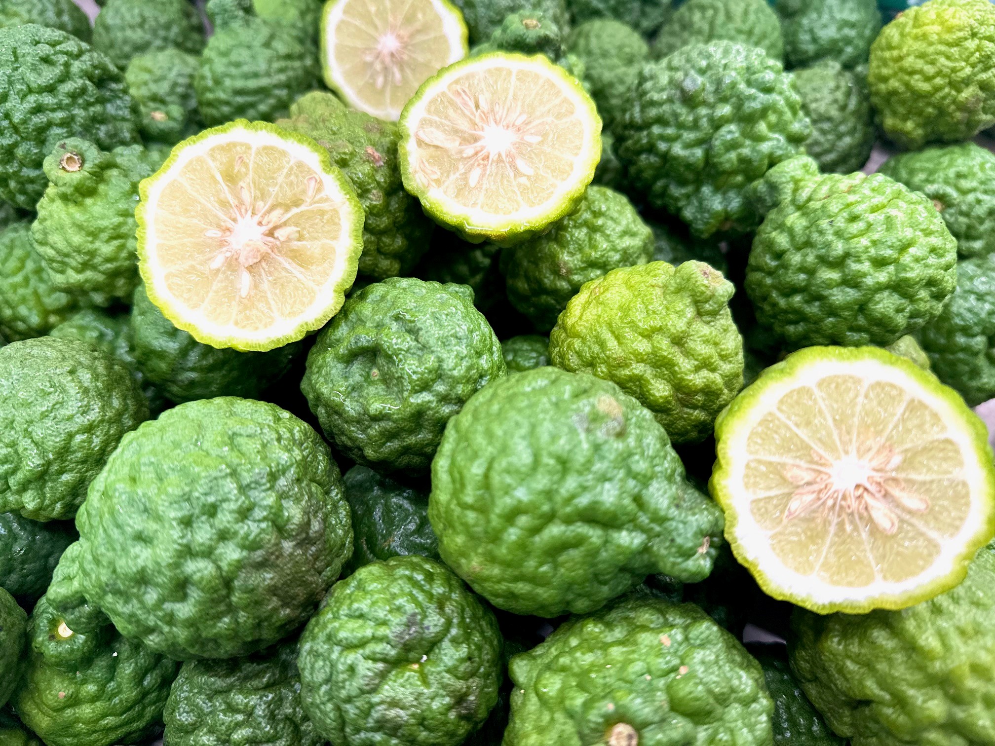 Bio Kaffir-Limes von Ueli Mäder aus dem Tessin.