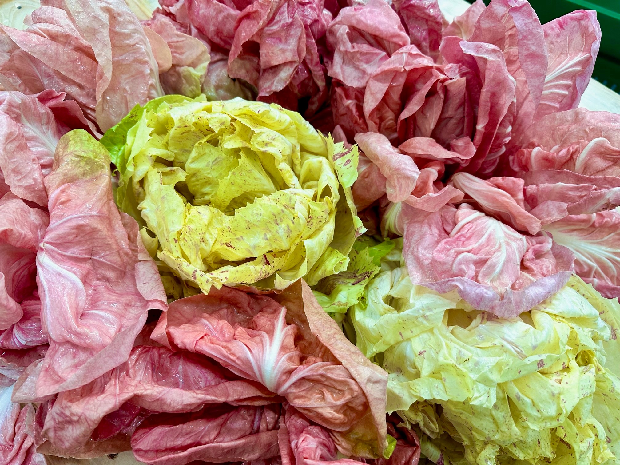 Die schönsten Salate kommen aus dem Veneto. Basta!