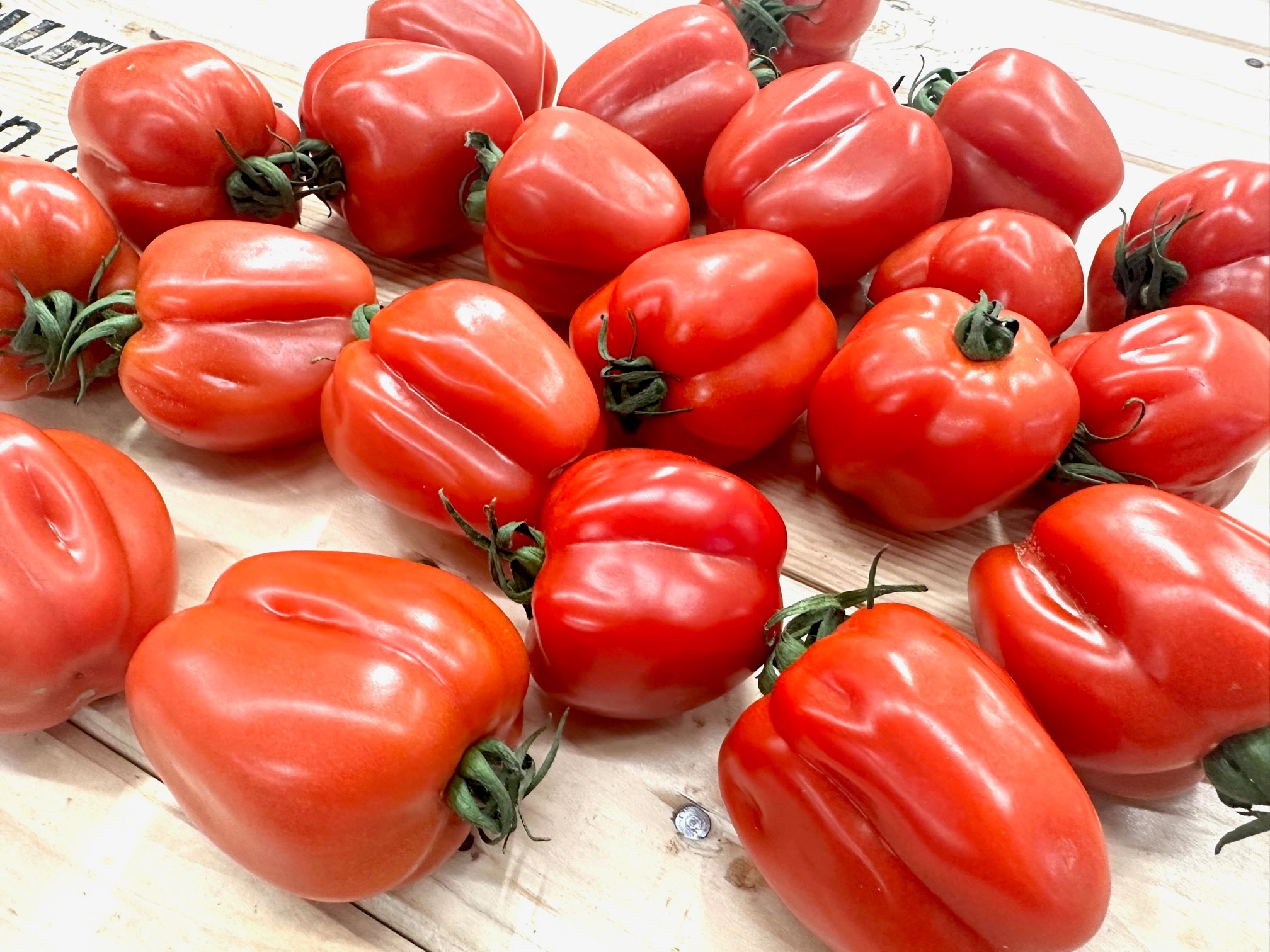 Wabi Sabi-Tomaten aus Spanien