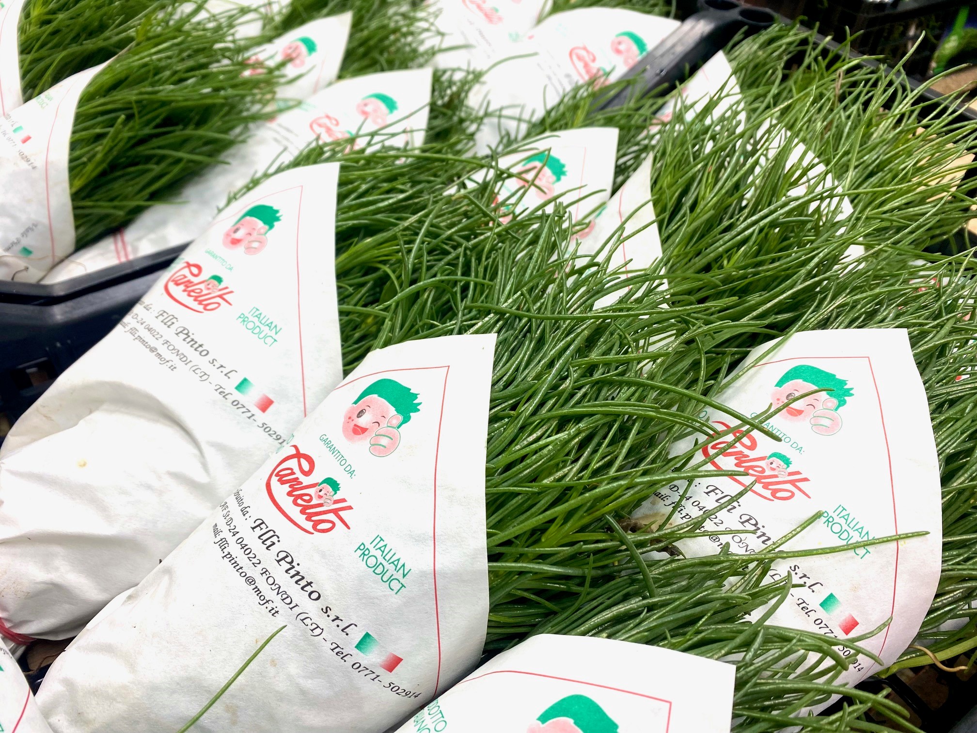 Mineralischer Barba di Frate aus Italien