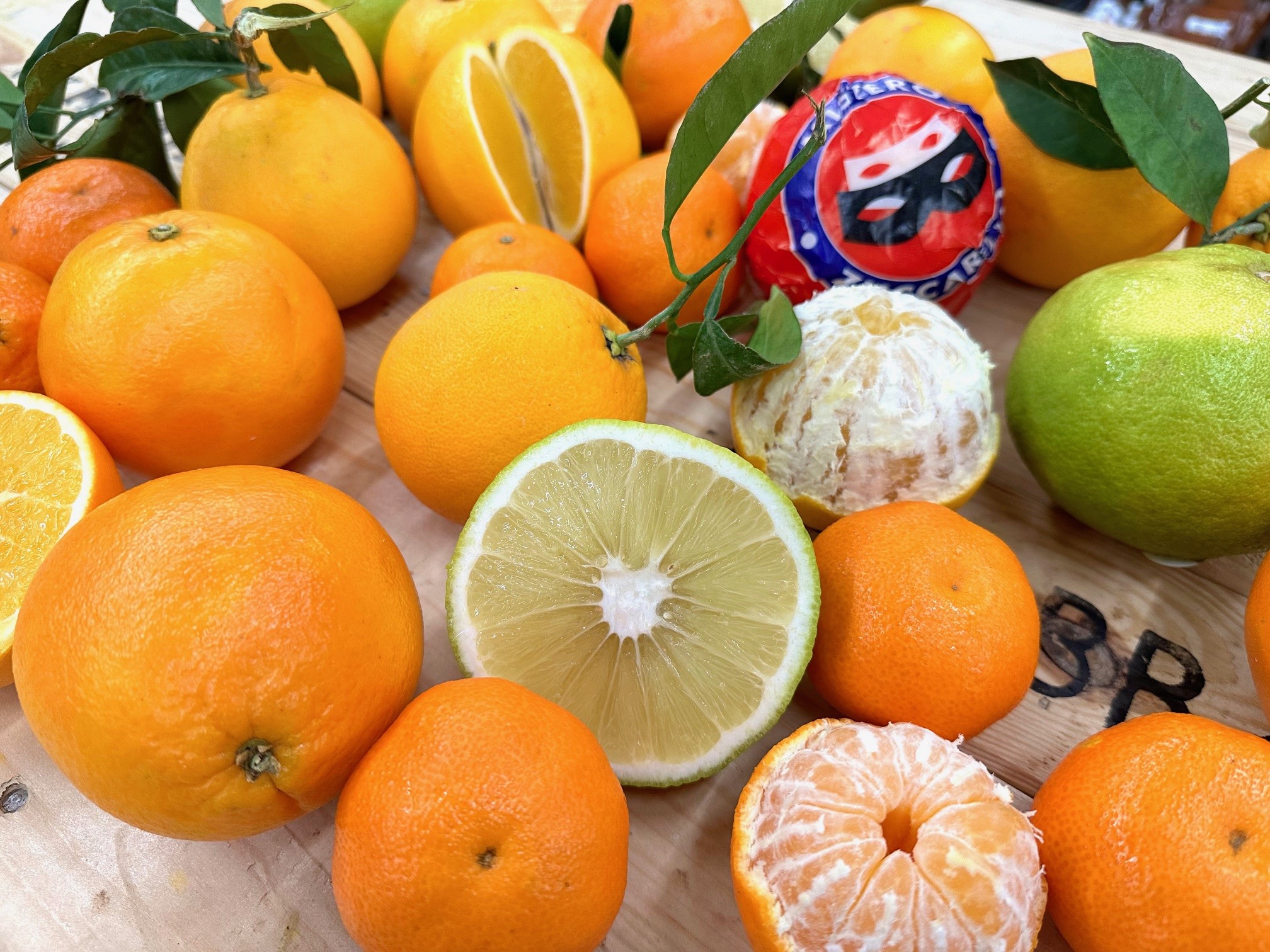 So sieht Vielfalt aus. Jetzt ist Orangensaison!