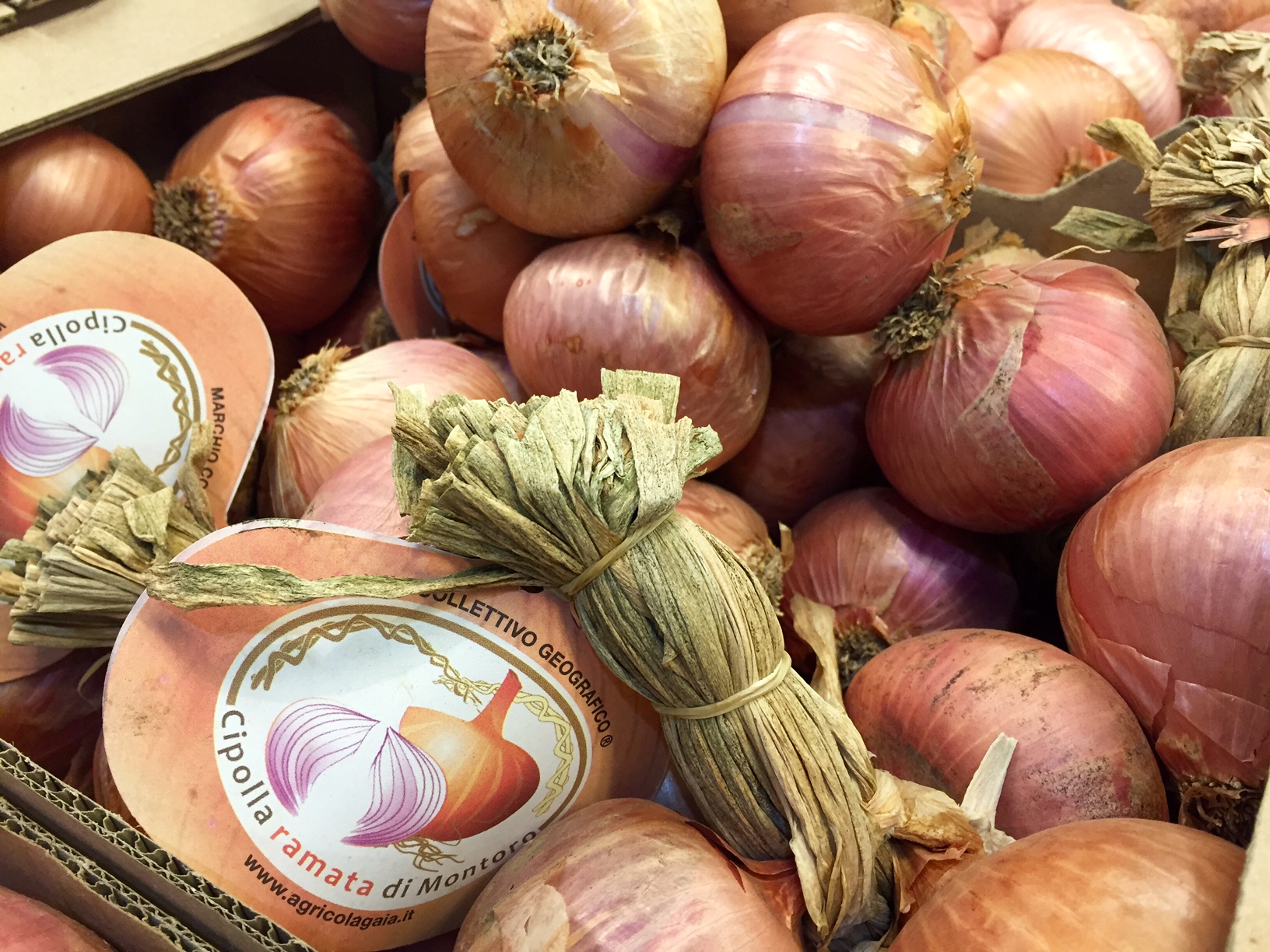 Cipolla Ramata di Montoro