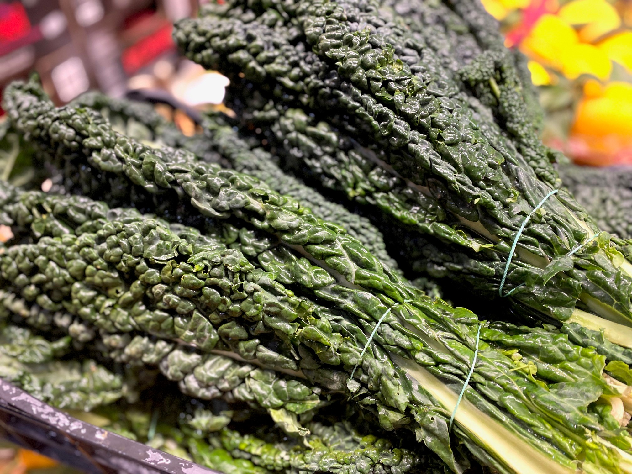 Mag es gerne kalt. Cavolo Nero, aka. Palmkohl