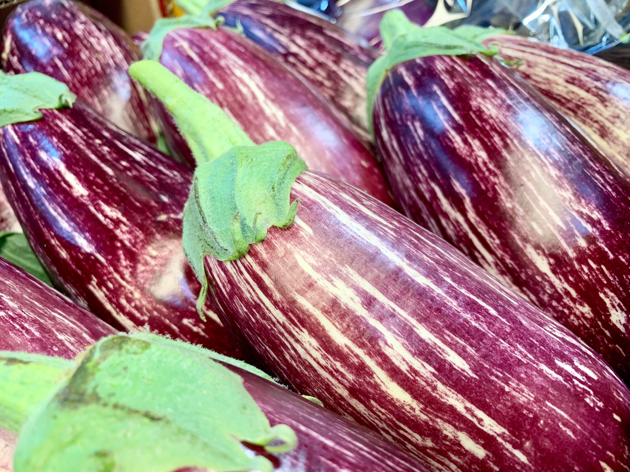 Tiger-Auberginen von den Meier Brothers.