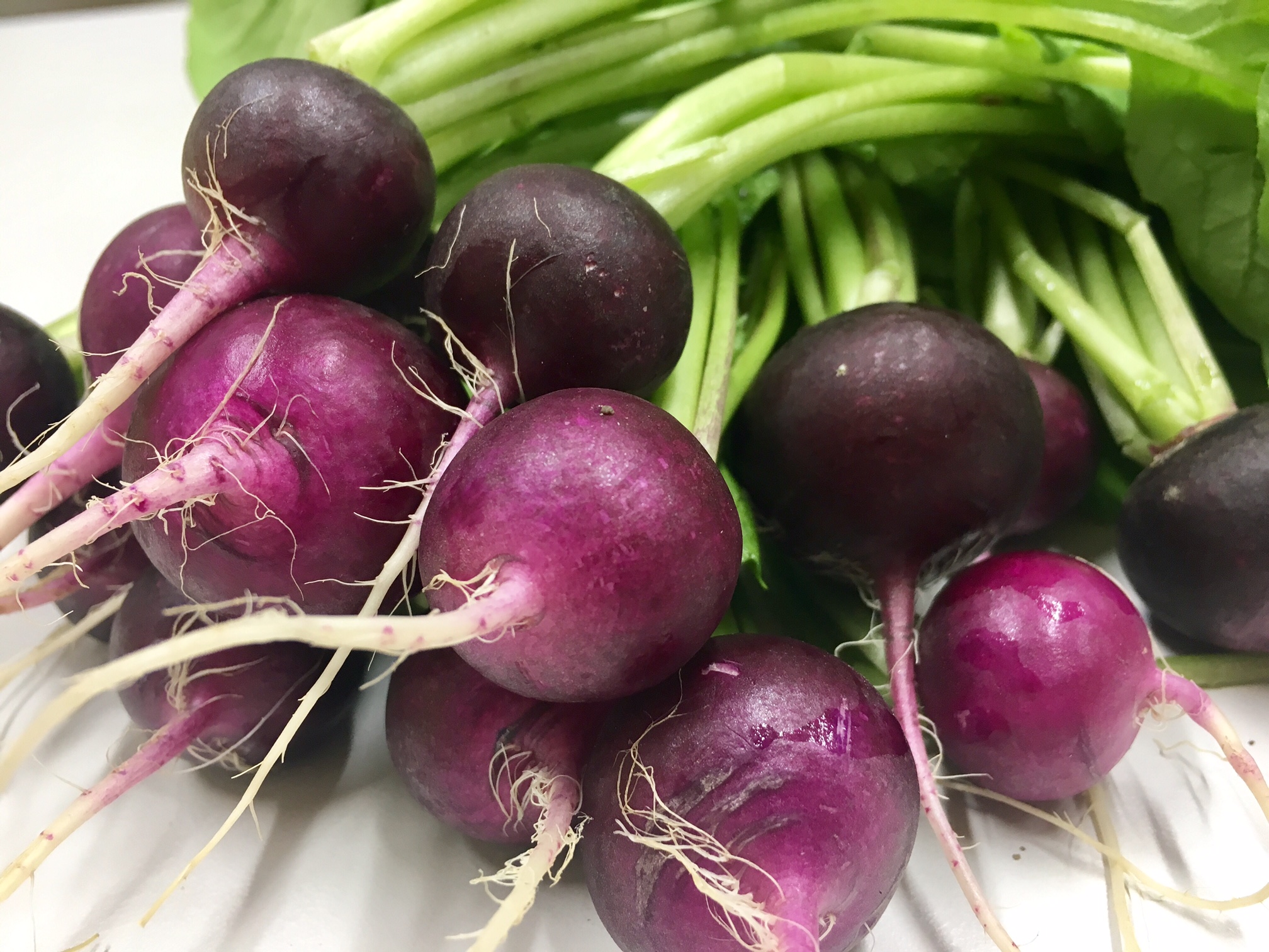 Radiesli vom Mutschellen