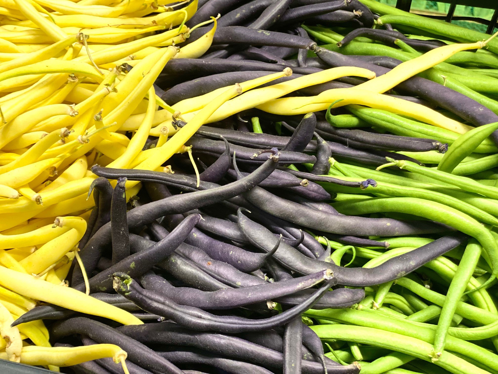 Butterbohnen. Es muss nicht immer grün sein.