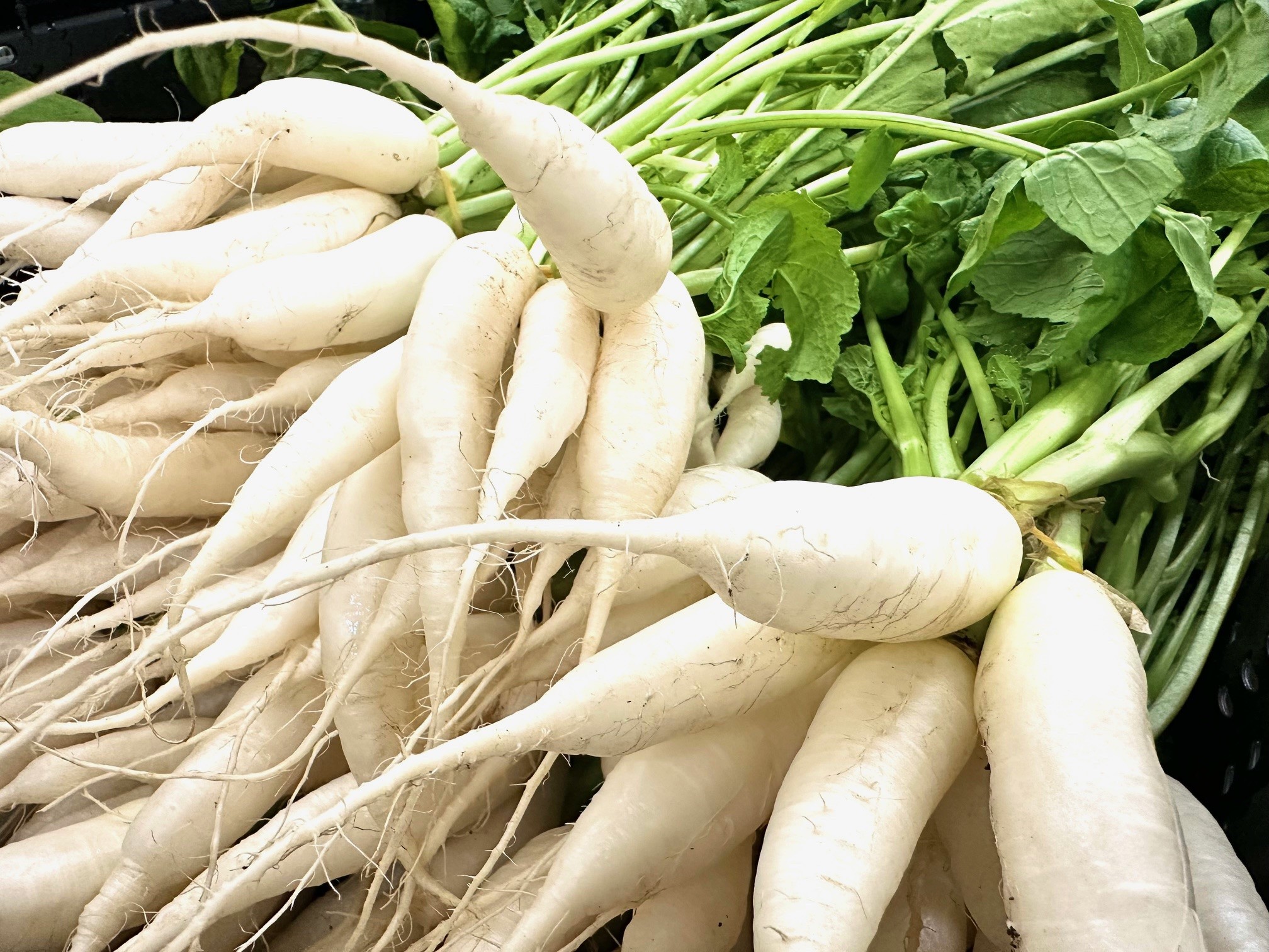 Kleine Herrgöttli. Eiszapfen.