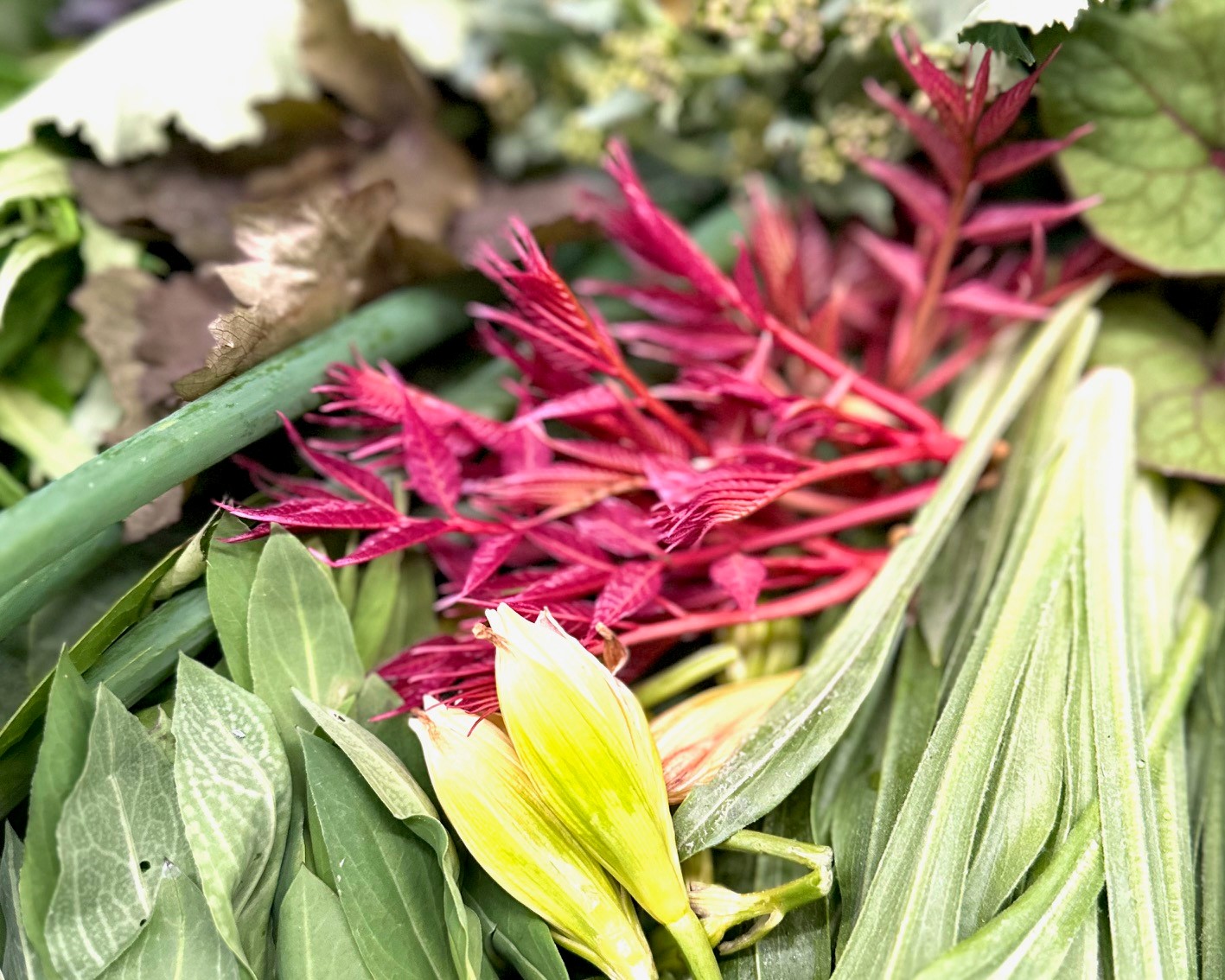 Unsere FARM-Box vom Tannerbrünneli