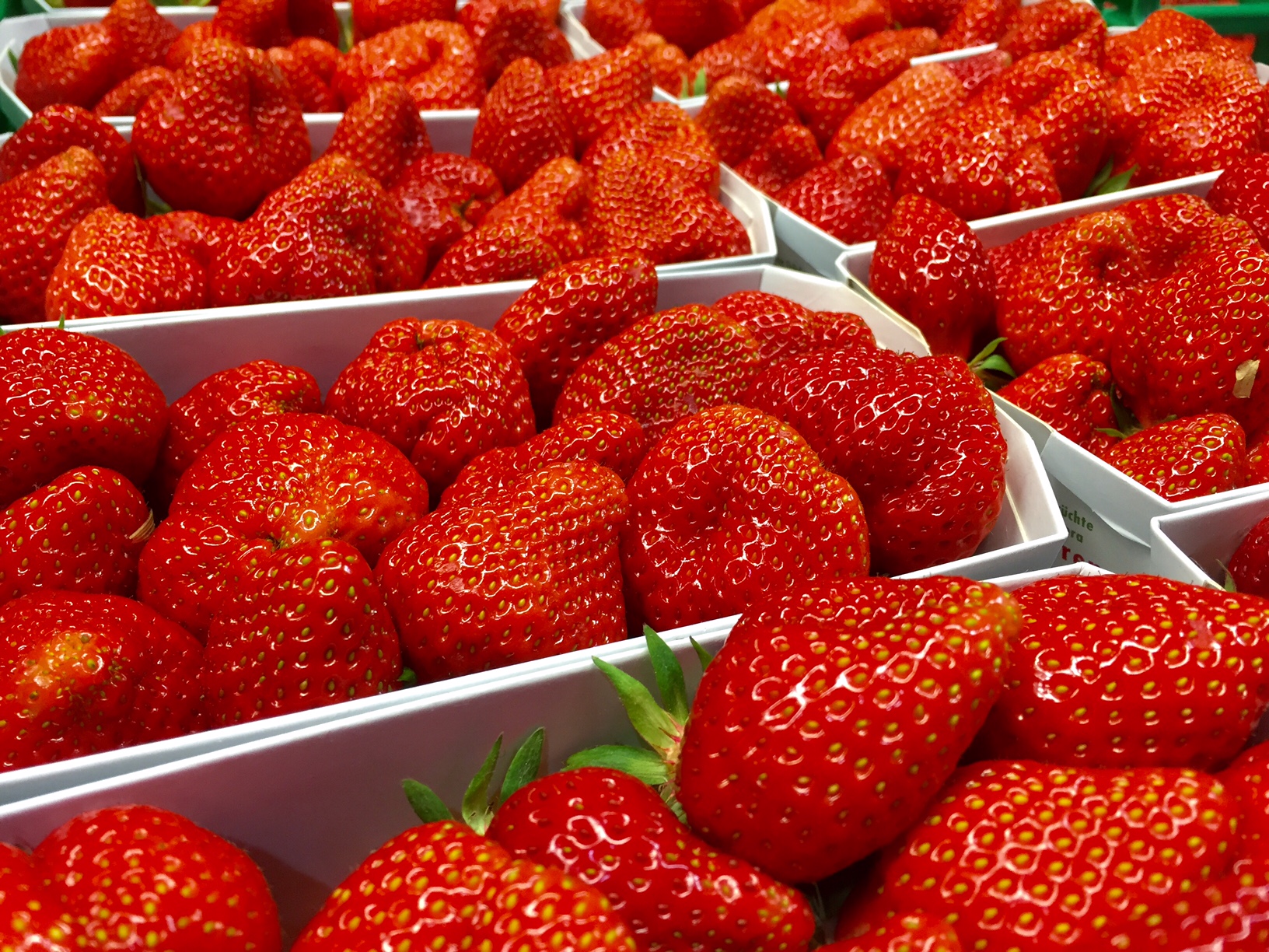 Schweizer Erdbeeren werden immer besser