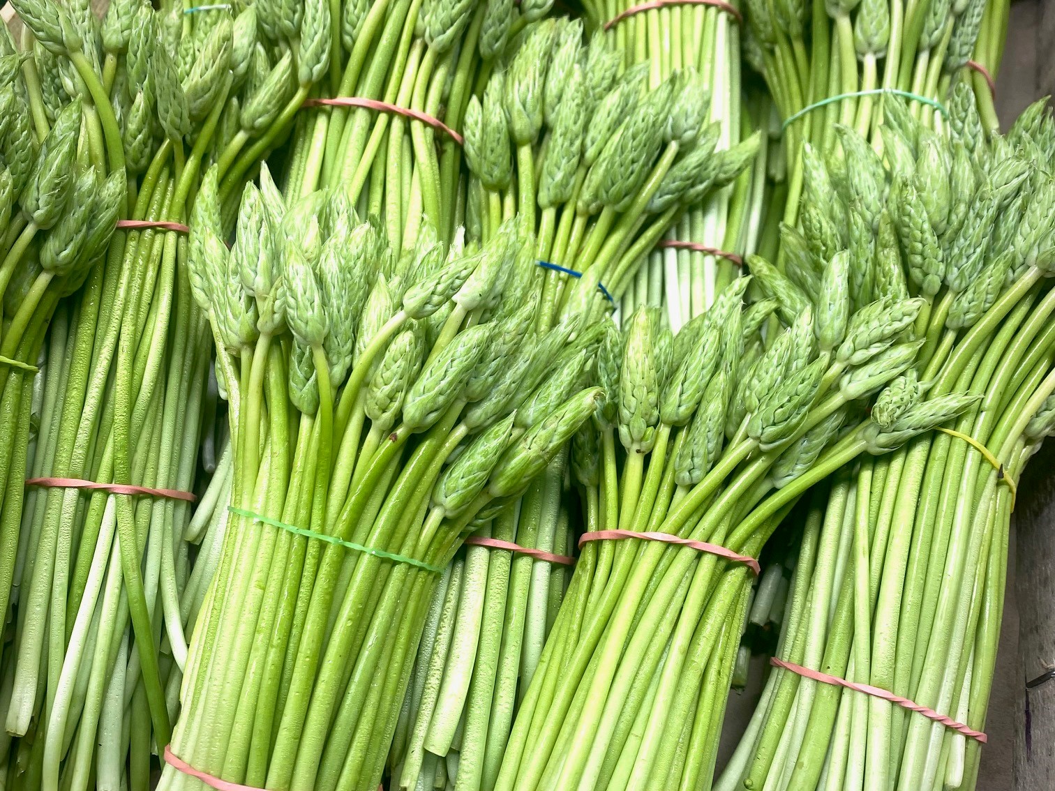 ährenspargelige Ästhetik