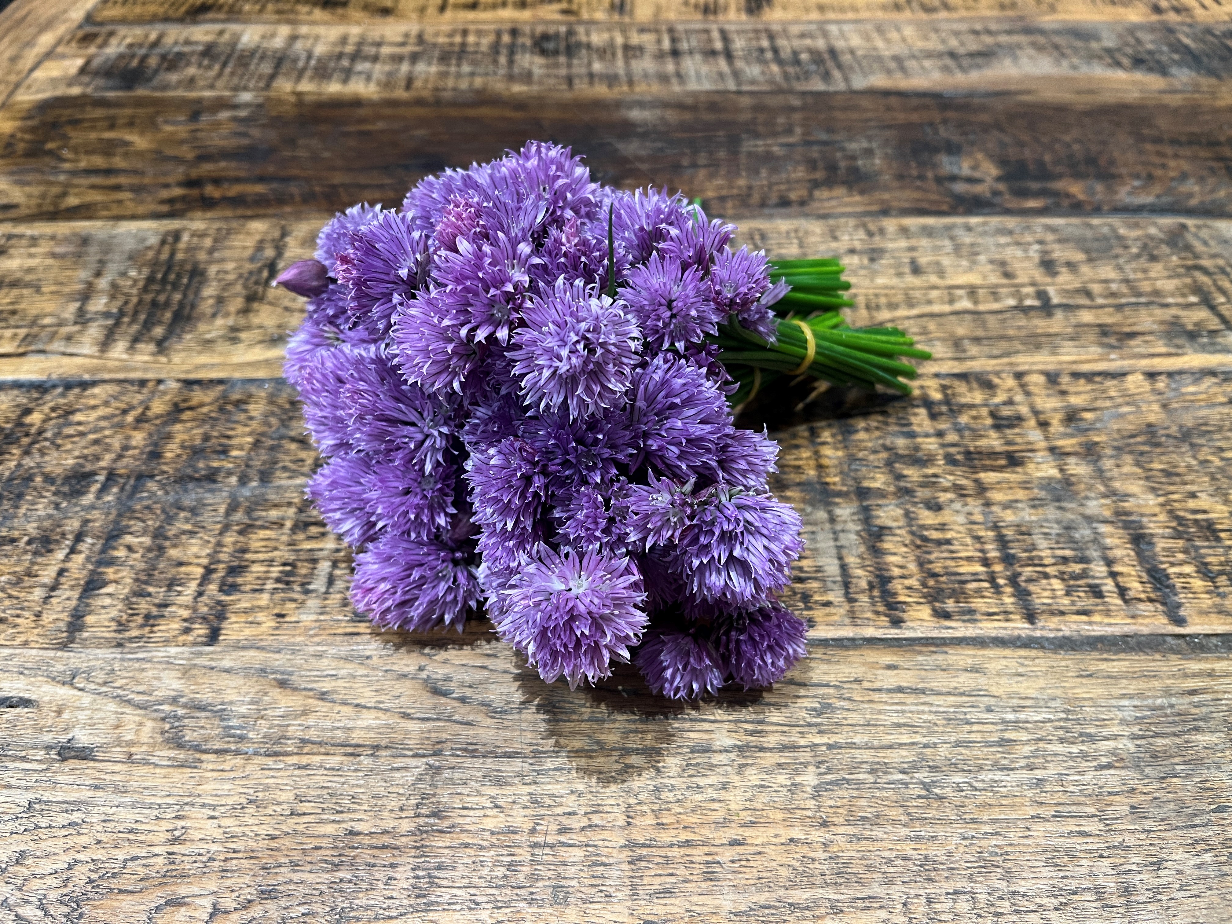 schnittige Schnittlauchblüten