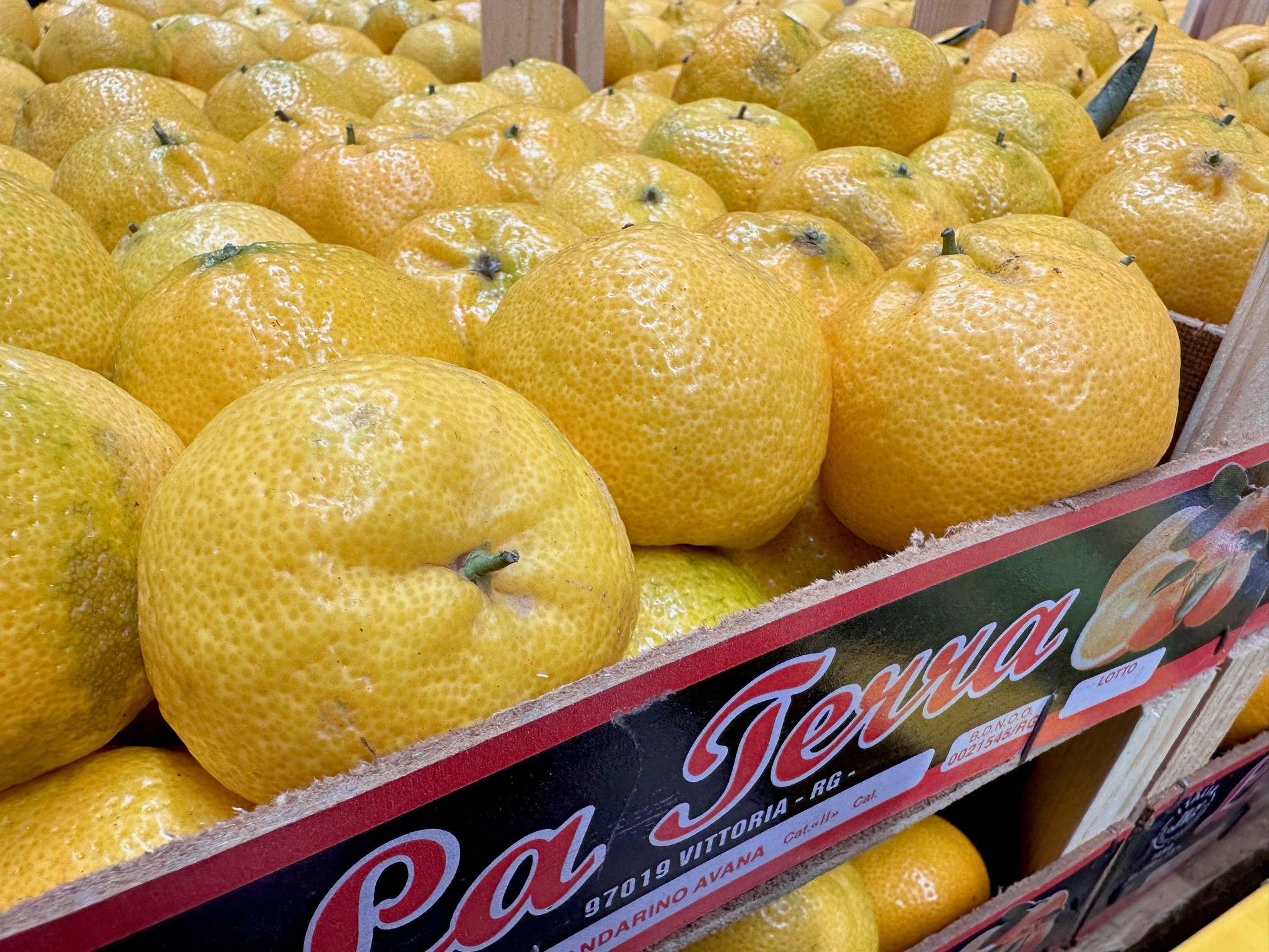 Avana. Eine echte Mandarine.