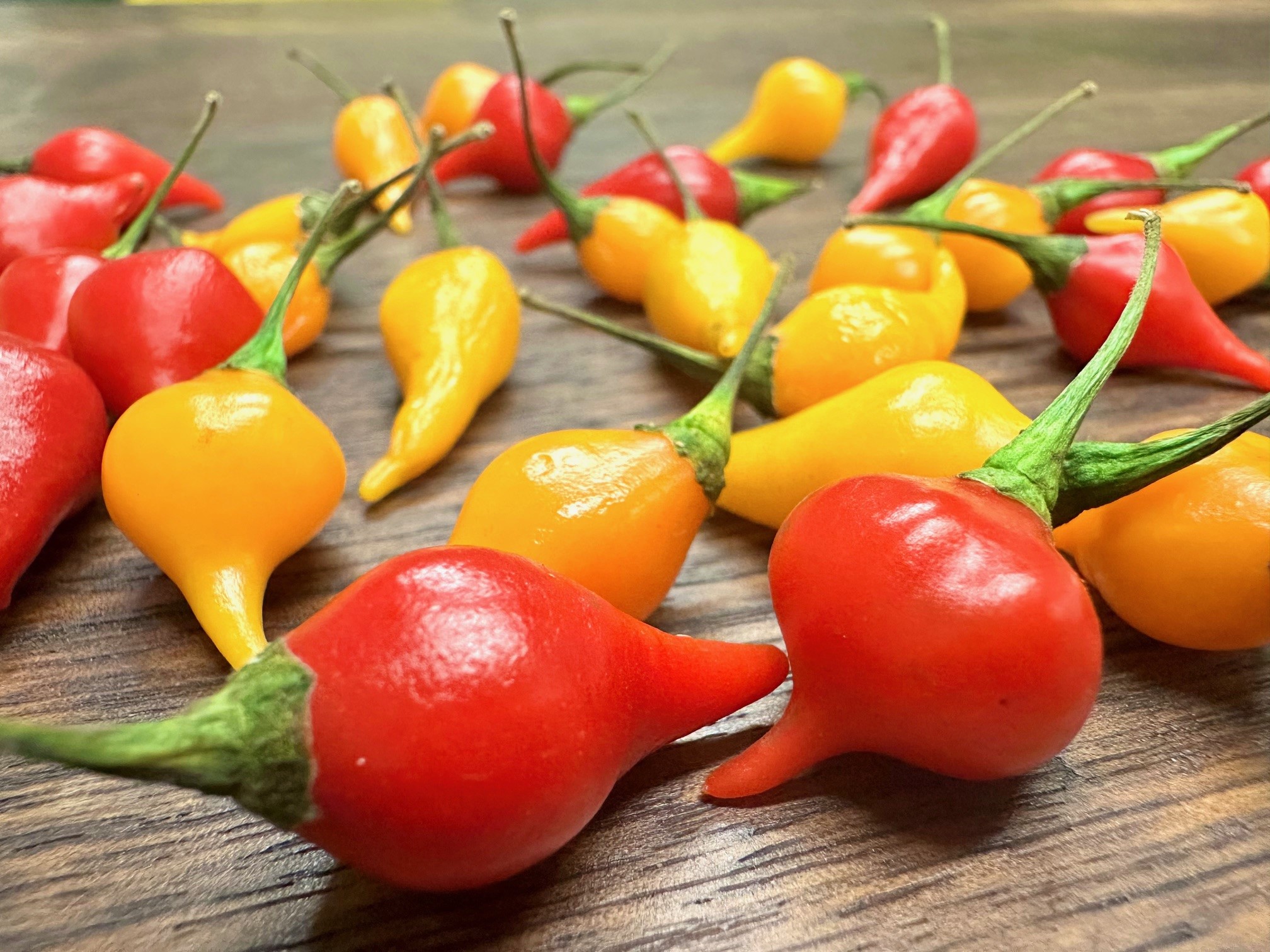 Begeistern uns. Pimientos "Lagrima"