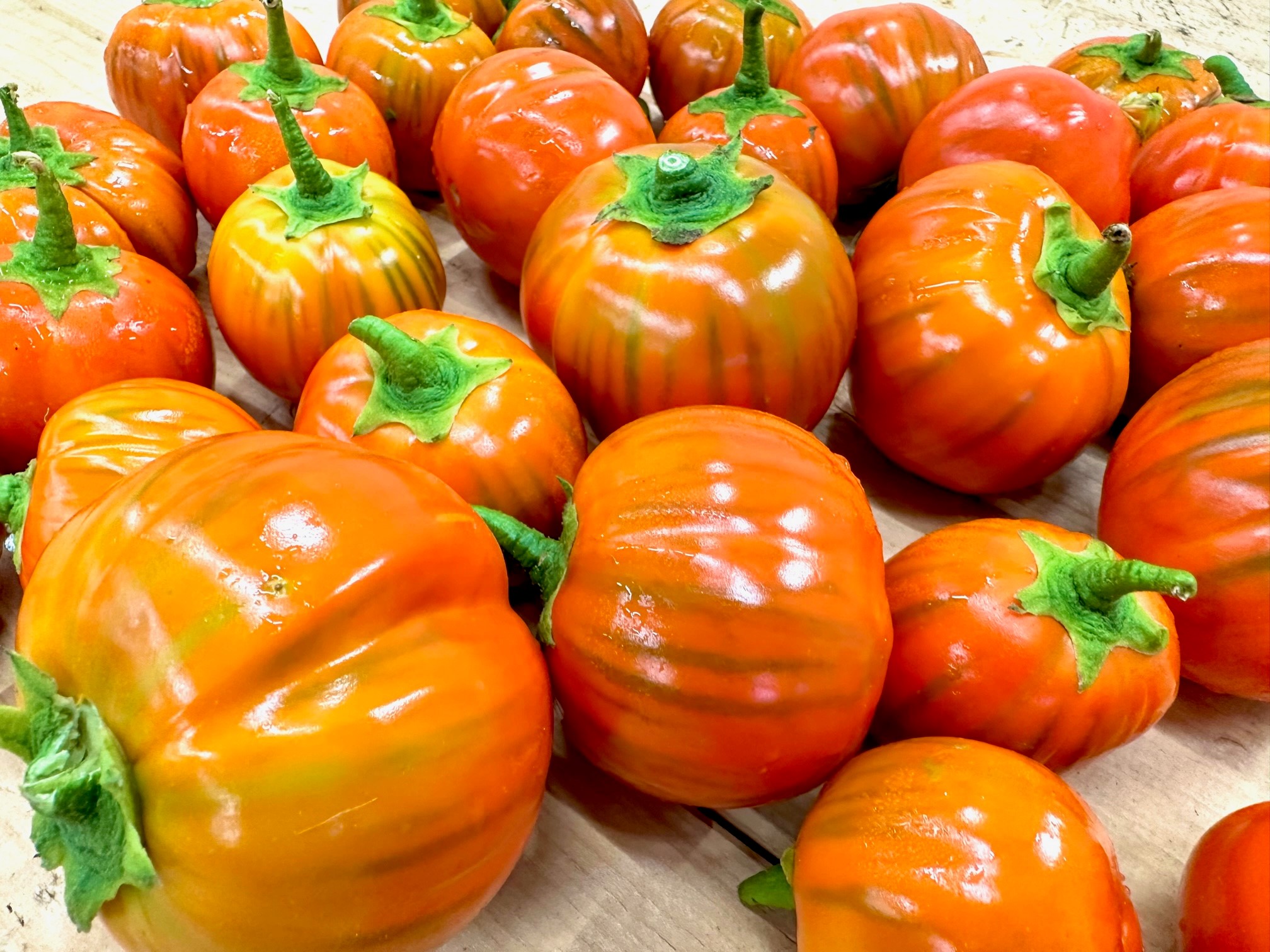 Auberginen Rosso di Rotonda vom Enikerhof