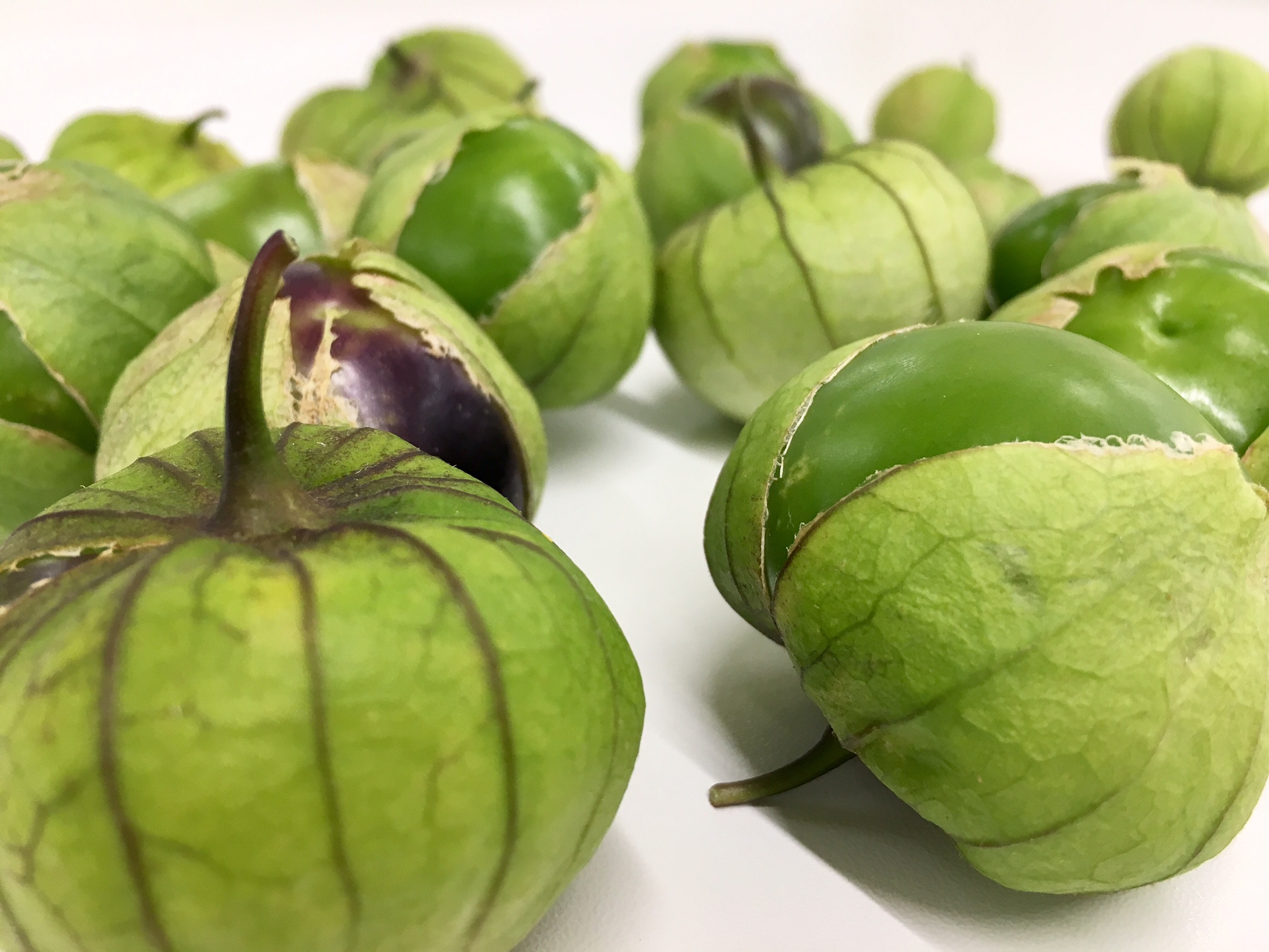 Tomatillos vom Enikerhof